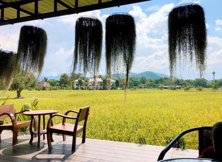 Oon Valley Farm Stay San Kamphaeng Экстерьер фото